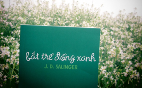 Muốn thành công hãy đọc ngay 7 cuốn sách mà tỷ phú Bill Gates khuyên đọc