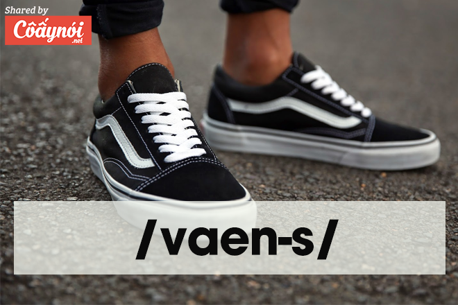 sneaker vans