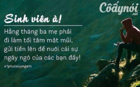Gửi tân sinh viên: Đại học không phải chốn xả hơi, tỉnh mộng ngay nếu không muốn sau 4 năm, cầm tấm bằng ca thán thất nghiệp, cuộc đời bất công