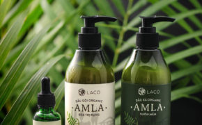 Điểm danh các loại dầu gội thảo dược từ thiên nhiên tốt nhất Việt Nam