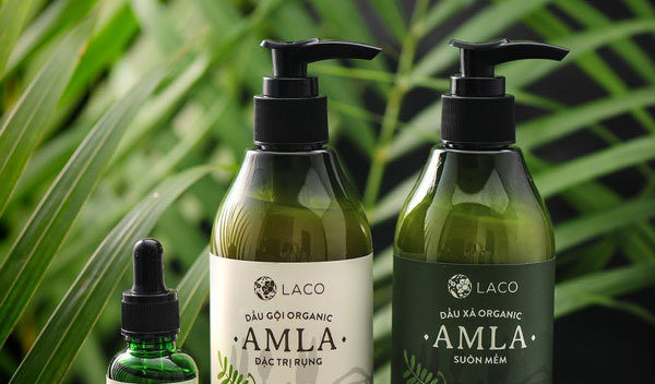 Điểm danh các loại dầu gội thảo dược từ thiên nhiên tốt nhất Việt Nam