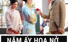 List 29 phim hoa ngữ nữ cường nữ chủ hay nhất bạn nên xem một lần trong đời