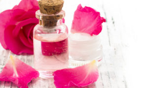 Lưu gấp ngay 5 toner giá rẻ nhưng cực chất lượng thích hợp để làm lotion mask