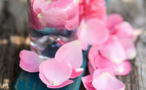 Đừng bao giờ mua toner nước hoa hồng nếu bạn chưa nắm rõ 7 điều sau