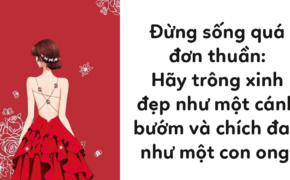 15 chân lý về tình yêu và cuộc sống mà phụ nữ chắc chắn phải biết để sống rực rỡ như những đóa hoa