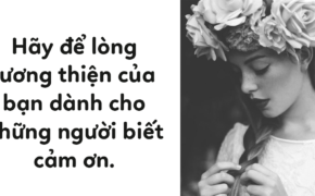 Làm người, lương thiện cần có đầu óc, khoan dung phải có giới hạn