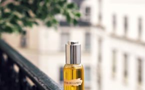 6 loại dầu dưỡng mix với kem nền giúp bạn có lớp nền căng bóng