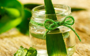 Bật mí 5 cách trị mụn bằng nha đam và làm trắng da mặt hiệu quả