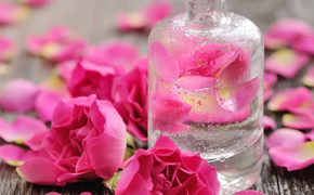 Bật mí công thức tự làm toner đơn giản phù hợp với mọi loại da