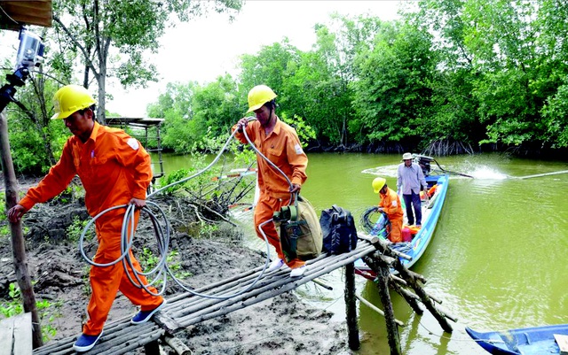 Đưa điện về các hộ dân vùng sâu tỉnh Cà Mau