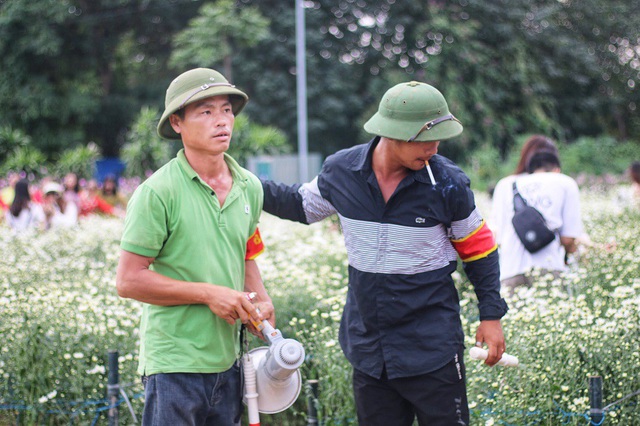  Đội bảo vệ phải liên tục đi quanh vườn kiểm tra và nhắc nhở mọi người không được bẻ hoa, nằm đè lên hoa gây dập, nát. 