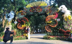 Mãn nhãn tác phẩm hình rồng “khổng lồ” được tạo từ 1,2 tấn hoa quả ở Hà Nội