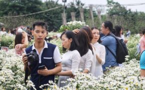 Biển người đổ về chụp ảnh, vườn cúc họa mi “vỡ trận” vì ùn tắc