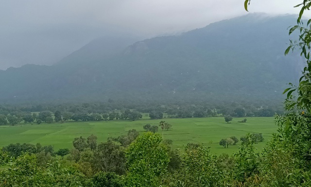 Lên đến đỉnh đồi Tà Phạ, mê mẩn với những cánh đồng lúa xanh mát dưới chân đồi