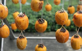 Hồng sấy dẻo kiểu Nhật giá chát, chị em Việt treo đầy ban công