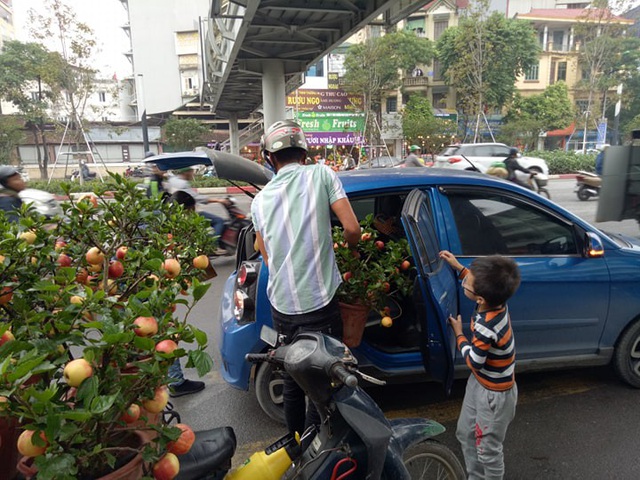 Loại táo cảnh độc đáo thu hút khá đông người mua hàng