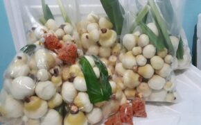 Kỳ lạ “mầm dừa” miền Tây đi “chuyên cơ”, chị em Hà Thành tranh nhau mua ăn vặt