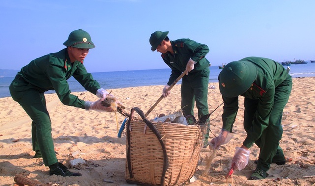 Thanh niên Bình Định hành động vì sự sống của biển - 6