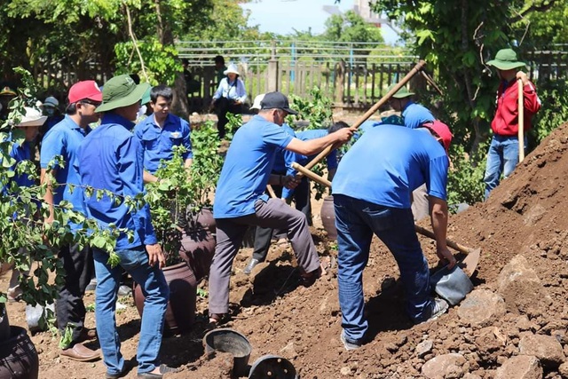 Đoàn viên, thanh niên Quảng Trị trồng hoa giấy làm đẹp đảo Cồn Cỏ - 3