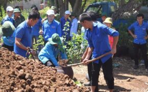 Đoàn viên, thanh niên Quảng Trị trồng hoa giấy làm đẹp đảo Cồn Cỏ