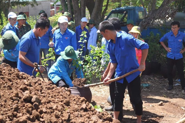 Đoàn viên, thanh niên Quảng Trị trồng hoa giấy làm đẹp đảo Cồn Cỏ - 5