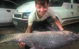 Bắt được cá trắm đen “khủng” nặng 50kg, dài 1,6m ở Yên Bái