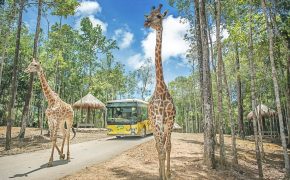 Hé lộ “Bom tấn” thứ 2 – Công viên vui chơi khủng tại Gia Lâm của Vingroup