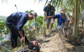 Đi bắt chuột đồng mùa nước nổi