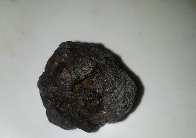 Mổ dê 10 năm tuổi, phát hiện dị vật nghi “dương bảo” - 1 Mổ dê 10 năm tuổi, phát hiện dị vật nghi “dương bảo” - 1