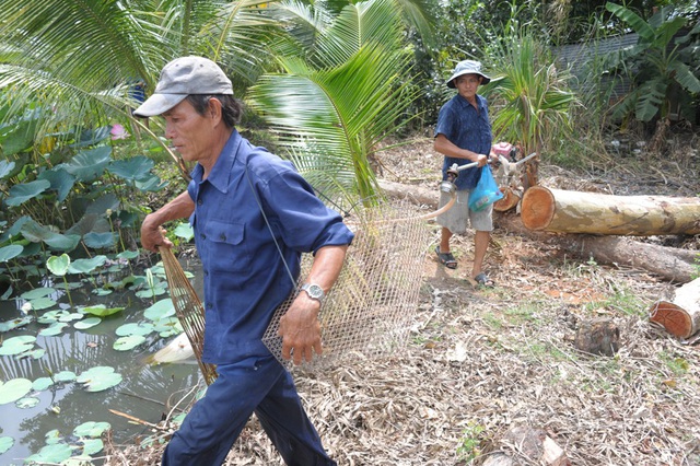  Bắt đầu một chuyến săn chuột đồng bằng máy cắt cỏ khi được chế thành máy bơm nước mi ni 