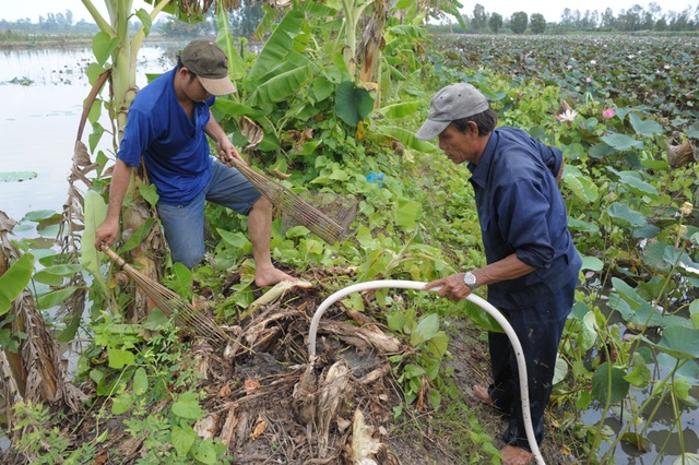 Khi bơm nước vào hàng những người còn lại đặt xà di vào hàng chính...