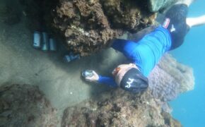 Người đàn ông leo rừng, lặn biển nhặt rác