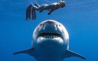 Những khoảnh khắc của đời thực “ảo” hơn cả phim ảnh