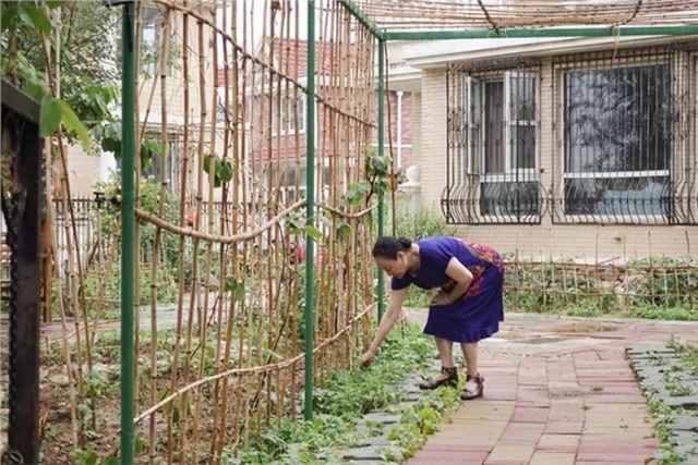 Hội bạn thân lớn tuổi tự thuê biệt thự để sống cùng nhau đến cuối đời! - 9