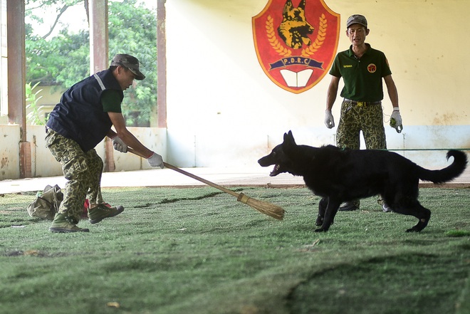 Sau hàng loạt vụ chó tấn công kinh hoàng: Những kinh nghiệm sống còn để thoát hiểm - 11