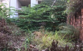 Chuyện khó tin bên trong biệt thự triệu đô bỏ hoang ở Sài Gòn