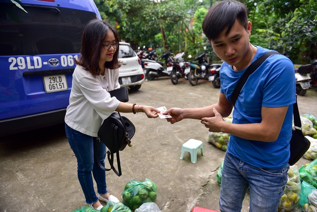 Dân Thủ đô giải cứu quýt sạch cho nông dân Nghệ An - 13