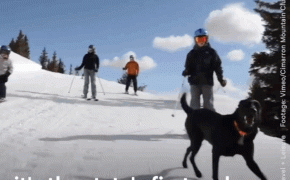 Khu trượt tuyết đắt đỏ bậc nhất thế giới: Hơn 50 tỷ đồng cho phí hội viên