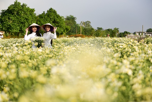 Nữ sinh Hà Nội khoe sắc bên cúc hoạ mi - 9