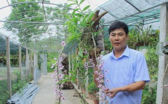 Mê mẩn vườn lan tiền tỷ của thầy giáo 8X