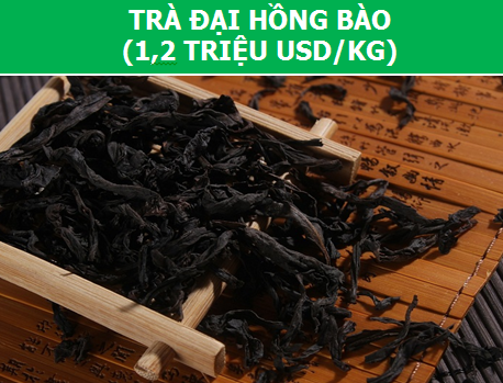 Điểm danh những loại trà chỉ dành cho giới thượng lưu! - 1