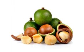 Điều gì khiến Mắc Ca trở thành loại hạt đắt nhất thế giới?