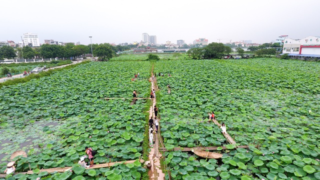 Thiếu nữ Hà Thành thả dáng bên đầm sen hồ Tây - 1