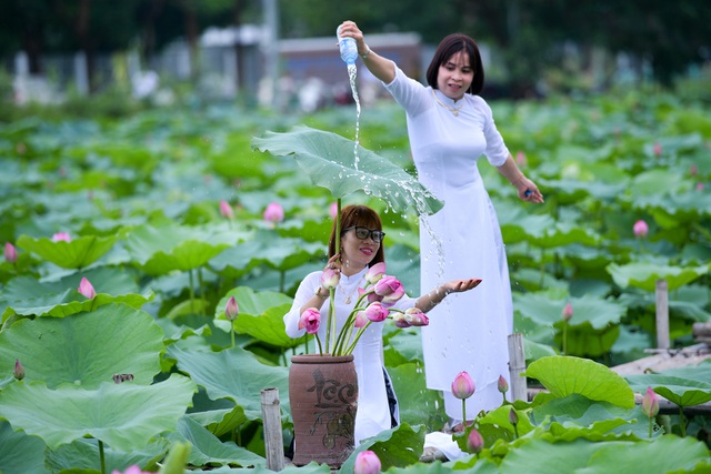 Thiếu nữ Hà Thành thả dáng bên đầm sen hồ Tây - 8