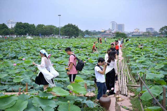 Thiếu nữ Hà Thành thả dáng bên đầm sen hồ Tây - 5