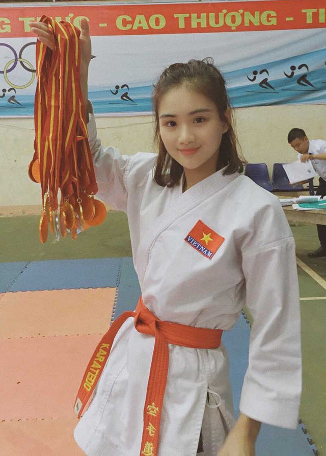 Minh Anh đoạt Huy chương đồng Quốc gia môn võ karatedo “Các câu lạc bộ mạnh toàn quốc” năm 2010; Huy chương đồng Quốc gia môn võ Karatedo “Hội khỏe Phù Đổng toàn quốc” năm 2015.