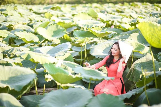  Nhật Linh là một cô gái xinh đẹp có đam mê ca hát từ nhỏ. Ngoài những thành tích tốt trong học tập, Nhật Linh còn có vô vàn những năng khiếu tài lẻ khác. 