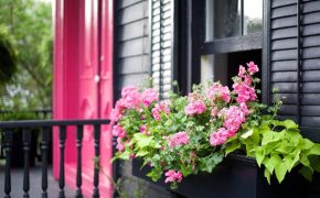 Đại gia Sài Gòn thuê thám tử theo nhân tình, biết sự thật trái ngang