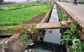 Người tiêu dùng cần hiểu đúng về “thực phẩm sạch” để tự bảo vệ mình