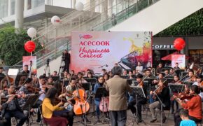 Khán giả thủ đô say mê với Acecook Happiness Concert 2019